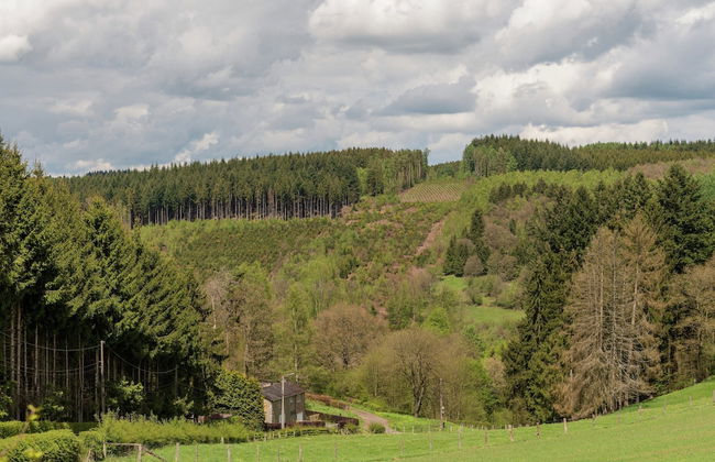 Beautiful Holiday Home in Redu With Whirlpool - Foto 37