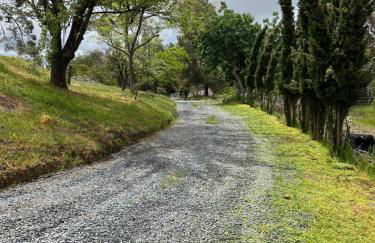 The Sequoia guesthouse - Foto 14