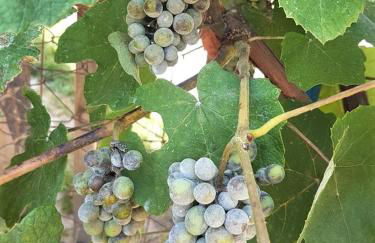 Sia Beach House - Photo 27