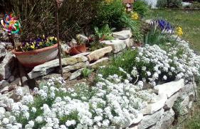 Apartment mit Gartenblick - Foto 21