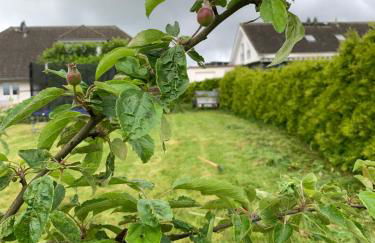 OTTOC Ferienwohnung - Foto 21