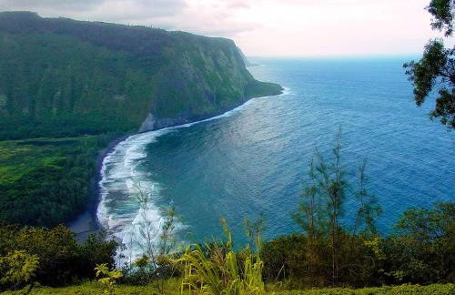 Hale “Hā Hā” - Photo 30