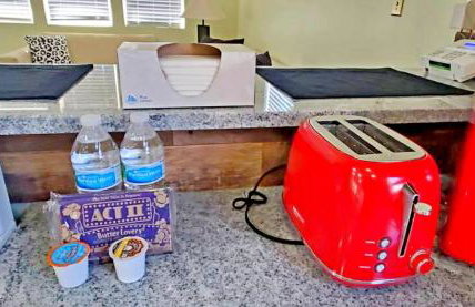 Orange Delite - Photo 13