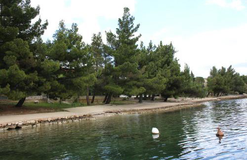 Apartments Bonaca Rovanjska - Foto 43