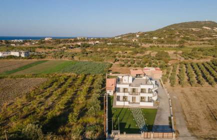 Ktima Kritikos - Foto 56