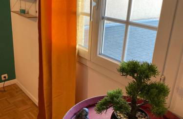 Le Rhin et Danube wifi - Foto 8