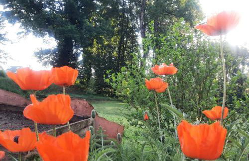 Ferienwohnung auf dem Land - Foto 10