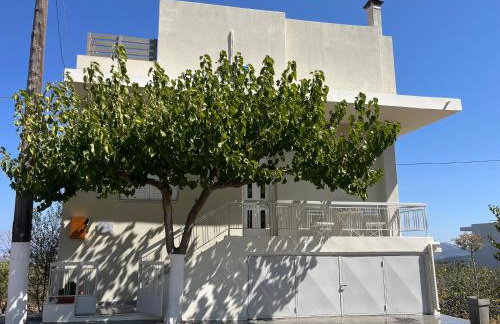 HarMa house - Foto 3