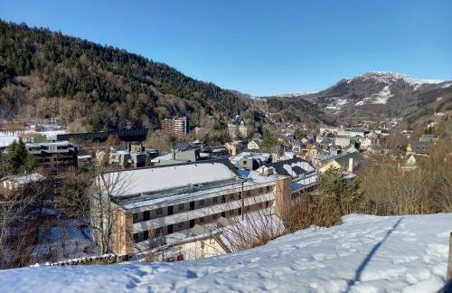 Appartement Mont Dore tout confort, 2 pièces, 4 personnes - Foto 34