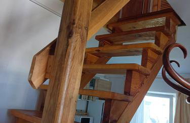 Domek nad Wkrą, okolice Sochocina, kajaki - Foto 13