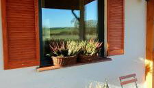 Smocze Ranczo 3 - Foto 3