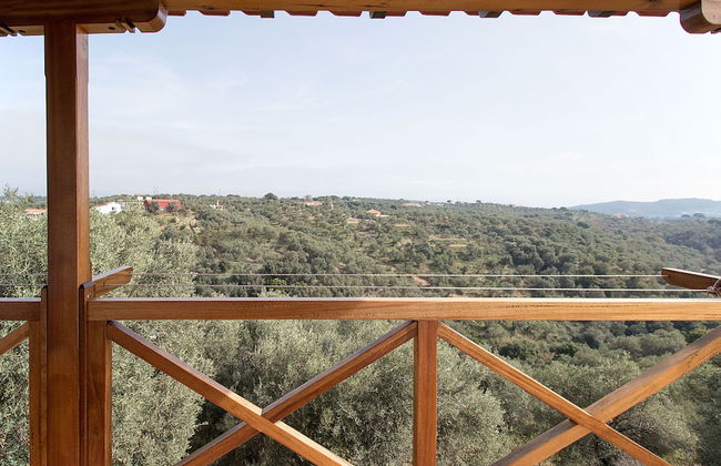 Armamento Villa - Photo 32