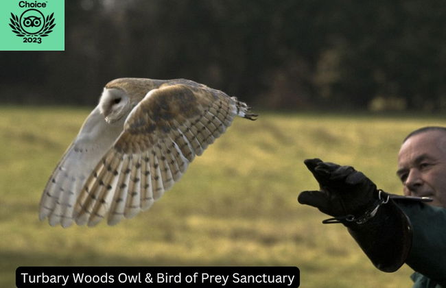 Manor House Farm - Foto 41