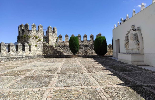 Tour in Cabra - Photo 8