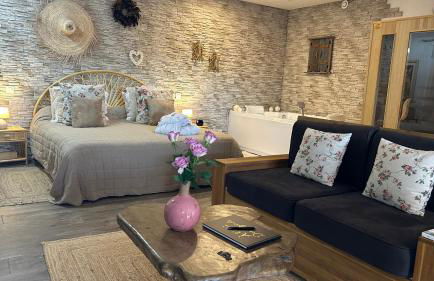 Loft sauna balnéothérapie - Foto 49