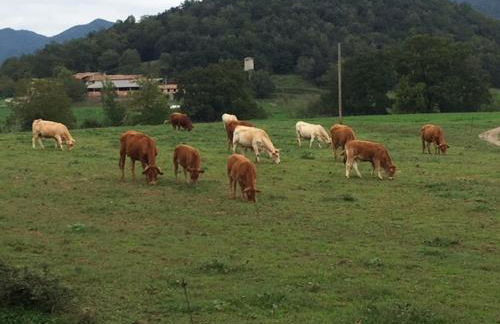 Casa Can Boix - Foto 99