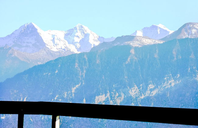 Berg-Seeblick - Foto 20