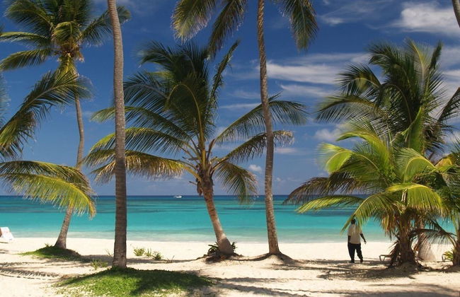 Playa Brisa y Mar Apartments - Foto 8