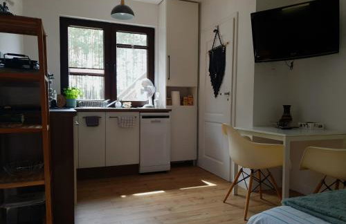 Siedlisko Owink - Foto 36