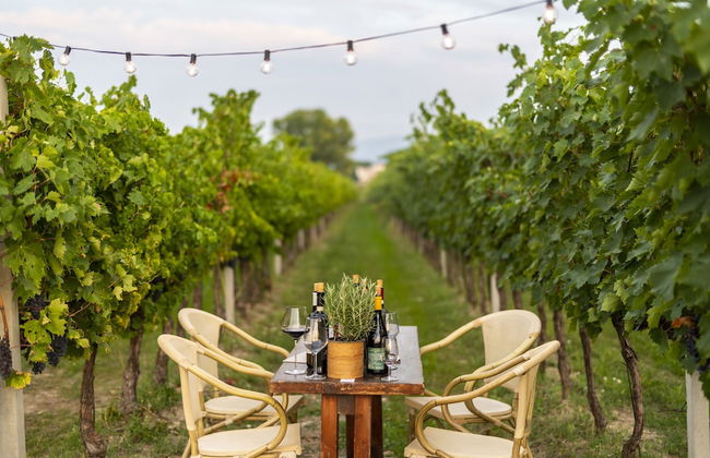 Agriturismo La Fonte - Photo 51