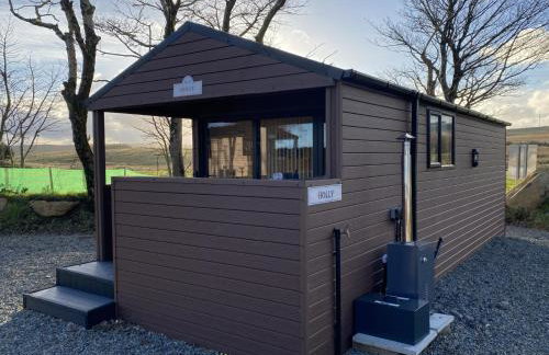 Belraugh Mountain View Hot Tub Lodges - Foto 5