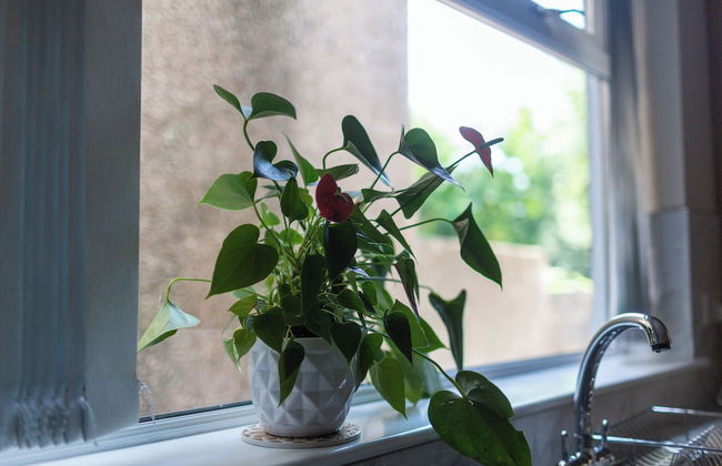 Sandfields House - Photo 13