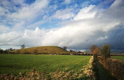 Hide on the Hill Cottage - Foto 14