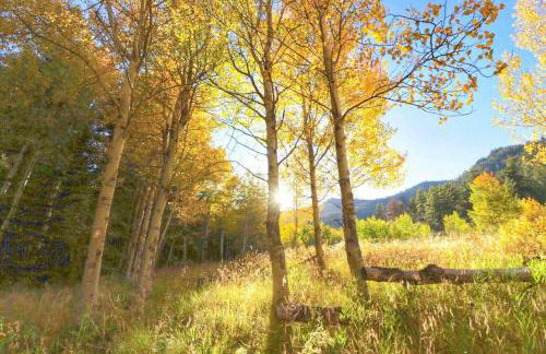 Enjoy a "Weekend in the Wild" in a Conestoga Wagon - Foto 4