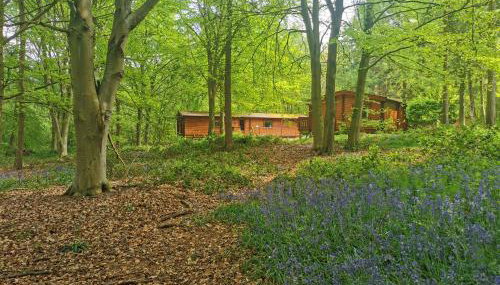 Fern Lodge - Foto 3, Garden