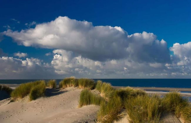 Cozy Chalet in Vrouwenpolder With Garden - Foto 33