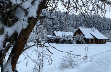 Nad Mikowym Potokiem - wydzielona część drewnianego domu z osobnym wejściem i ogrodem - Foto 21