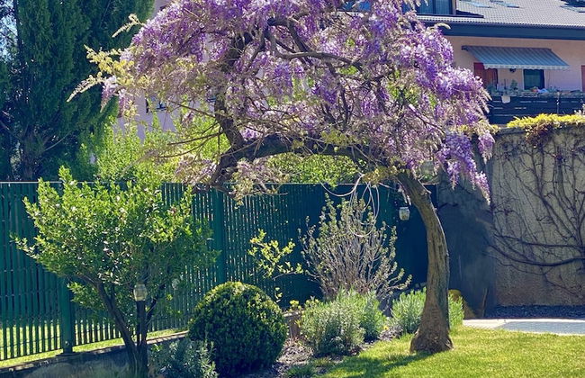 Lovely apt With Garden in South Tyrol - Foto 35