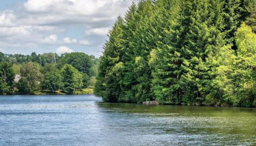 LA MAISON 1788 - Foto 4