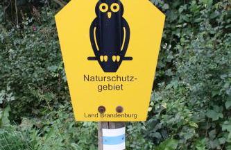 Landpension Zum Schweizerberg - Foto 30