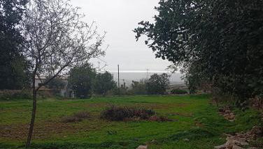 Casas Girasol - Foto 4