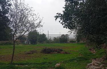 Casas Girasol - Foto 4