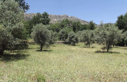 Quinta do Pina - Foto 43