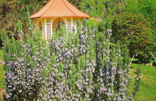 Ferienwohnung Sägemühle - Foto 34