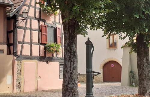 Idéal séjour Alsace ! proche Colmar et sur la route des Vins, Gîte de la Liberté - Foto 15