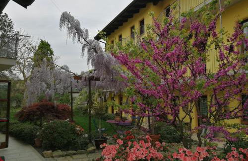 Agriturismo Tra Serra e Lago - Foto 8