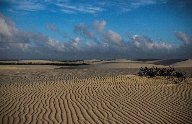 Jericoacaora West Coast Tour - Foto 2