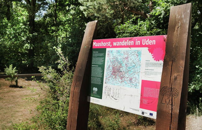 Family Farmhouse With Go-karts - Photo 37