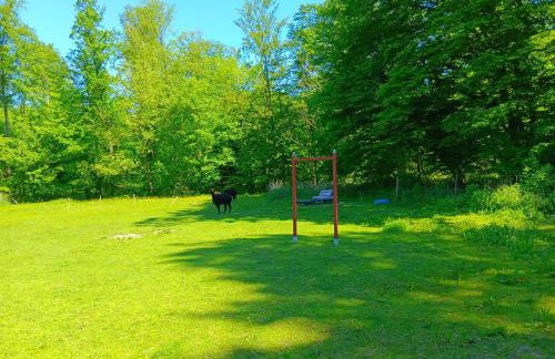 Sonnenscheinhof Alpakas, Alpaka Hütte - Photo 15