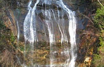 dream house - Foto 39