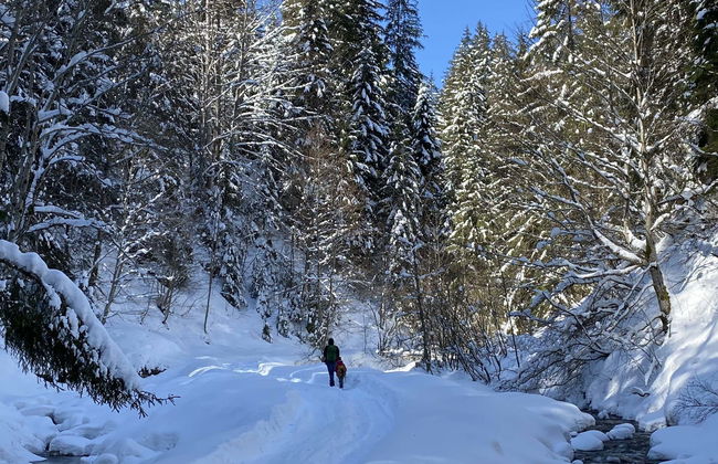 Balade en raquettes à neige dans le Parc Pallas-Yllästunturi - Photo 7