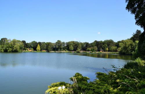 Beech Lodge 4 Hot Tub - Photo 8