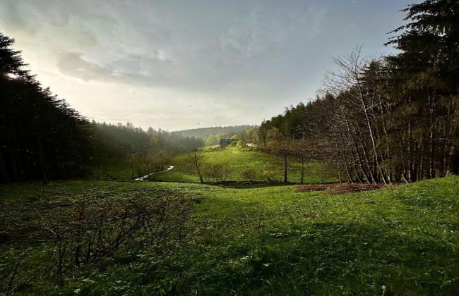 Apartment in Gutenbach With Nearby Forest - Foto 38