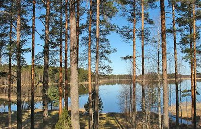 Näätämö - Foto 2