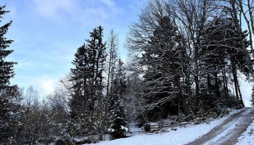 Gîte Chantoiseaux - Foto 5