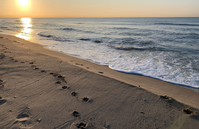 Mersey Be my Guest Castelldefels - Foto 23